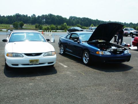 2001 Mercury Grand Marquis - Two Ford Mustangs, a white coupe and a blue coupe with its hood open, are parked at an outdoor car show.