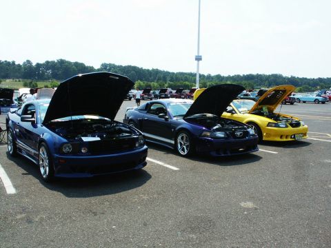 2001 Mercury Grand Marquis - Three Ford Mustangs with hoods open are parked in a lot at a car show.