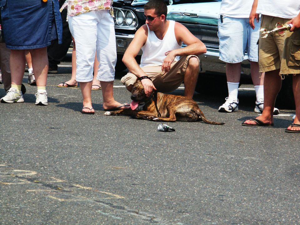 Guy petting his dog at a car show, people standing around a classic car