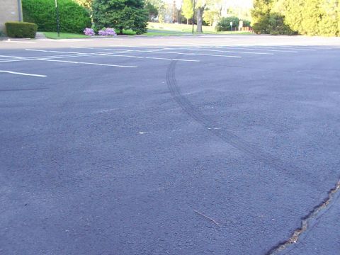 1998 Ford Taurus - left-over stang shit