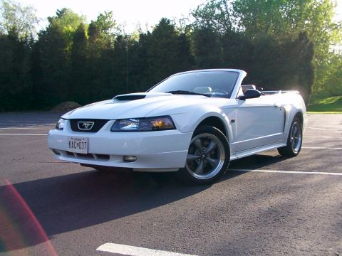 1998 Ford Taurus - The stang
