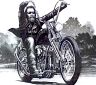 2006 Harley-Davidson Sportster Custom “Sin D Sue”