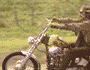 2006 Harley-Davidson Sportster Custom “Sin D Sue”