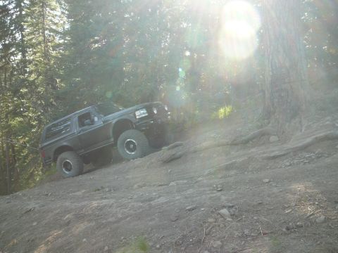 1991 Ford Bronco - A dark-colored Ford Bronco navigates a steep, wooded trail under bright sunlight.