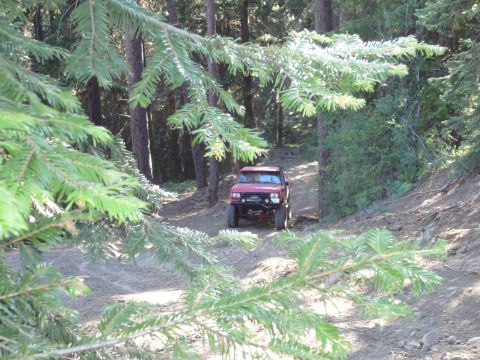 1991 Ford Bronco - A red SUV navigates a wooded trail with steep inclines.