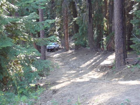 1991 Ford Bronco - Next is Alvie