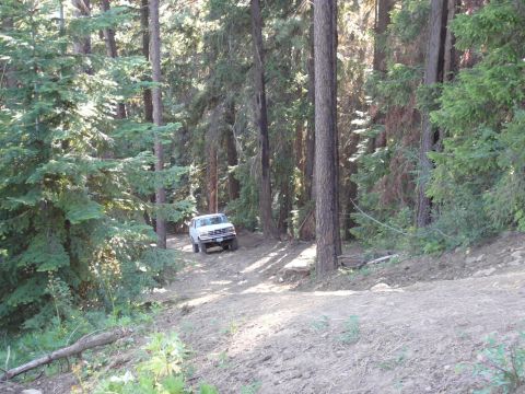 1991 Ford Bronco - A white 1991 Ford Bronco navigates a dirt path through a dense forest.