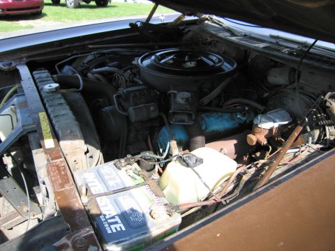 2001 Ford Crown Victoria - View of the engine compartment, showing the battery and various engine components.