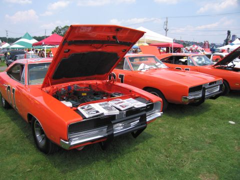 2001 Ford Crown Victoria - Several vintage muscle cars are displayed outdoors with their hoods open.