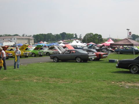 2001 Ford Crown Victoria - An outdoor gathering of various cars, with tents and buildings visible in the distance under a hazy sky.