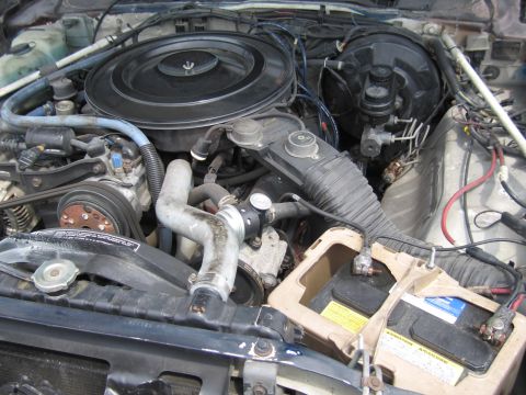 2001 Ford Crown Victoria - Photograph of a vehicle engine compartment with air cleaner, hoses, and battery.