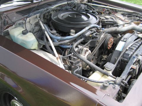 2001 Ford Crown Victoria - Photograph of an engine bay showing the alternator, drive belts, coolant tank and hoses.