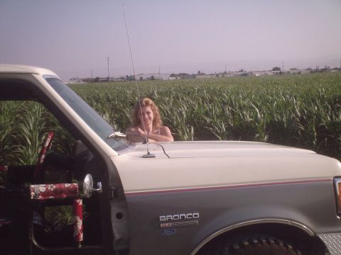 1991 Ford Bronco - A woman leans on the hood of a two-tone white and gray Ford Bronco parked in front of a tall cornfield under a clear sky. The vehicle's int…