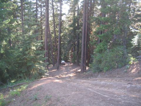 1989 Ford Bronco - A white SUV navigates a dusty forest road, surrounded by tall trees.