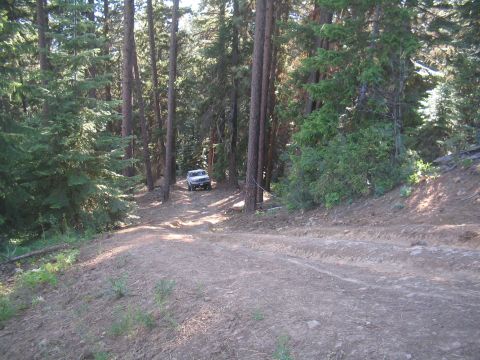 1989 Ford Bronco - A white SUV navigates a dirt road through a dense forest.