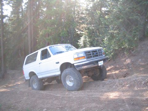 1989 Ford Bronco - White Ford Bronco navigating an off-road trail through a wooded area.