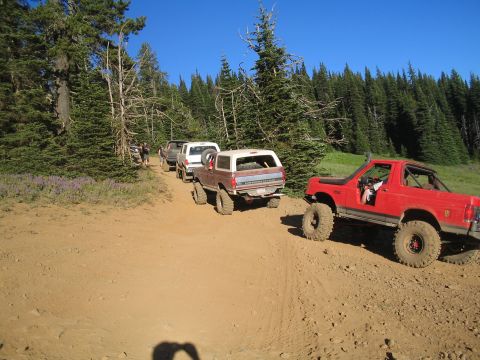 1989 Ford Bronco - Two Broncos navigate a dusty mountain trail surrounded by evergreen trees under a clear blue sky.