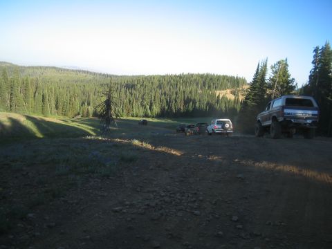 1989 Ford Bronco - Several SUVs, including a 1989 Ford Bronco, are parked on a dirt road with a dense forest in the background.