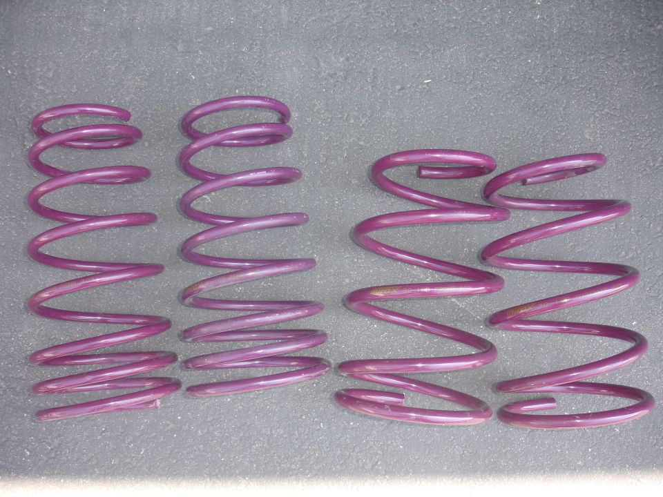 Four purple coil springs, two shorter and two longer, laid out on a gray surface
