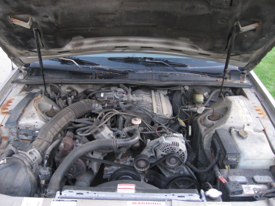 Engine bay of a 1995 Ford Thunderbird, showing the V8 engine, alternator, and air intake system