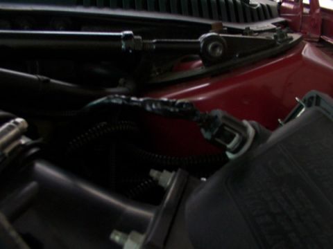 1998 Ford Taurus - Close-up view of engine bay components, including hoses and wiring.