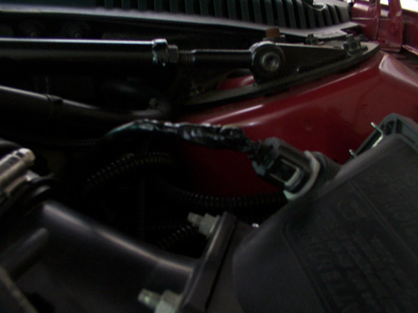 Engine bay with red fender, black hoses, and wiring harness