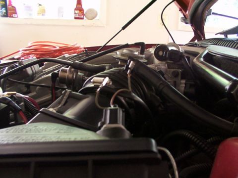 1998 Ford Taurus - Close-up view of an engine bay, showing various hoses and wiring components.