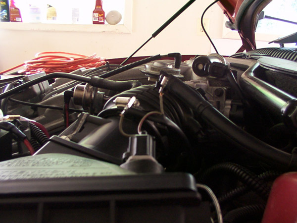Engine bay with red hoses and black wiring