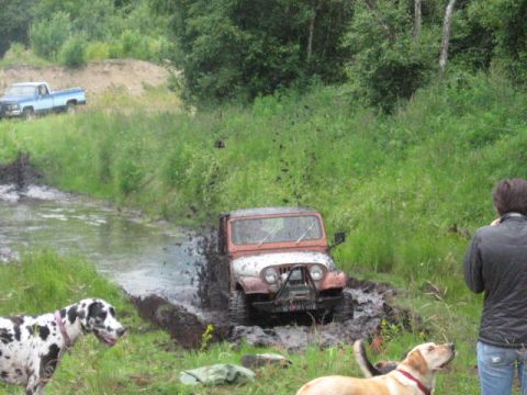 1978 Ford Bronco