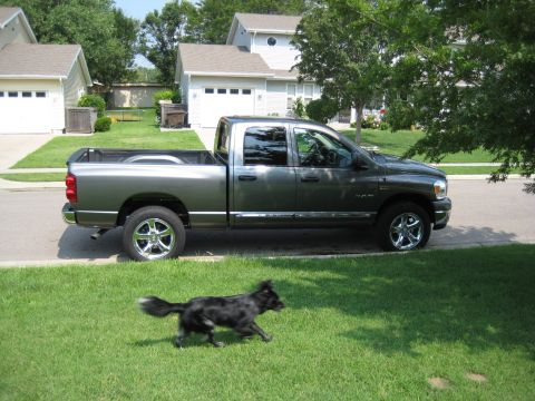 2008 Dodge 1500 photo