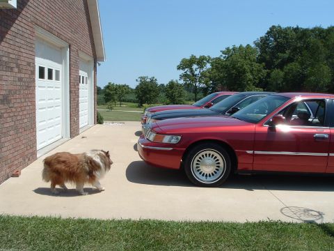 2001 Mercury Grand Marquis