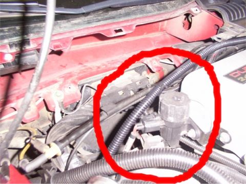 1998 Ford Taurus - This image shows a section of an engine bay, focusing on hoses and wiring, with a red circle highlighting specific components.