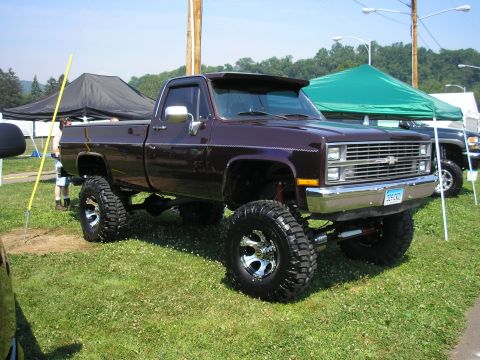 1995 Ford Bronco - This lifted pickup truck has a custom bug deflector and chrome wheels, parked on grass.