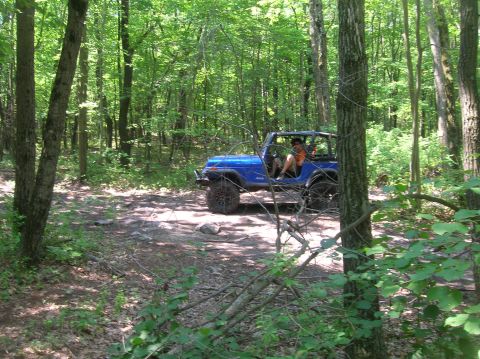 1996 Ford Bronco - A blue Jeep Wrangler navigates a wooded trail on a sunny day.