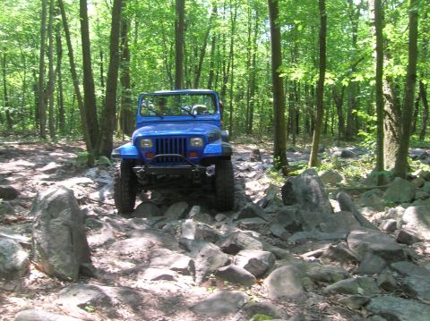 1996 Ford Bronco - A blue Jeep Wrangler navigates a rocky path through a sun-dappled forest.
