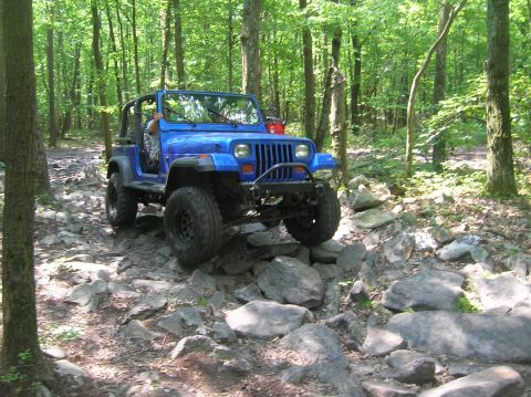 1996 Ford Bronco - Jeep Wrangler tackling a challenging off-road course in a forest.