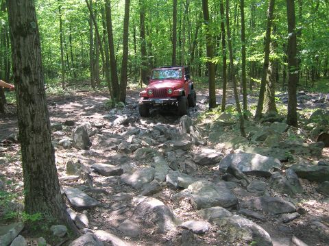 1996 Ford Bronco - A red Jeep Wrangler navigates a challenging rocky path through a dense forest.