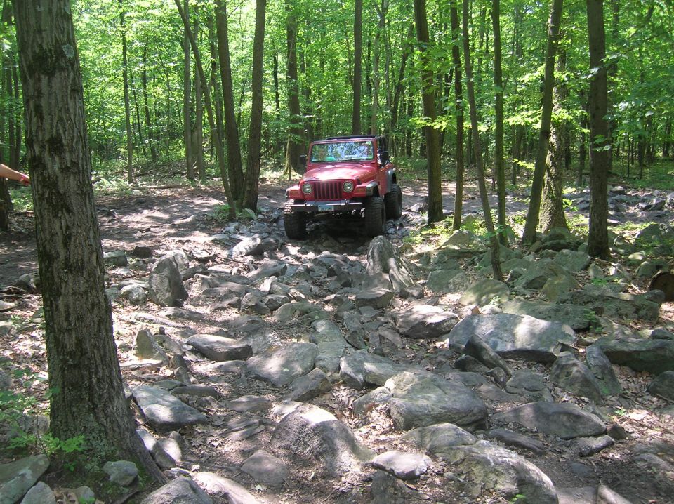 Red Jeep Wrangler on a rocky forest trail