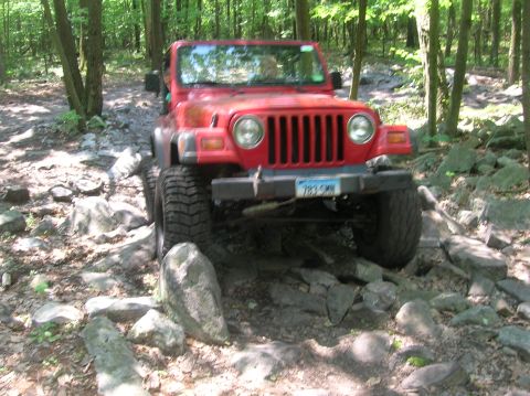 1996 Ford Bronco - A red Jeep Wrangler tackles a challenging, rocky path through a dense forest.