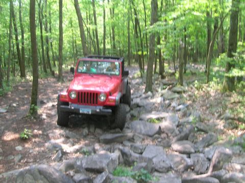 1996 Ford Bronco - Jeep Wrangler off-roading on a rocky trail surrounded by trees.