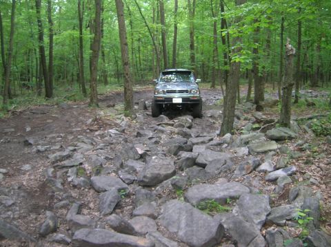 1996 Ford Bronco - An SUV drives through a challenging, rocky path in a dense forest.