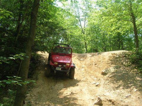1996 Ford Bronco - Red Jeep Wrangler navigates a challenging off-road trail surrounded by dense green trees.