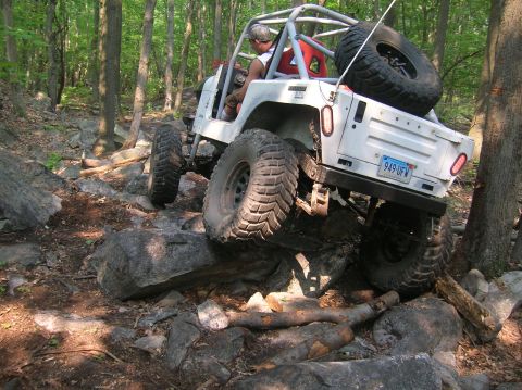 1996 Ford Bronco - This vehicle is tackling a challenging off-road course with large rocks and trees.