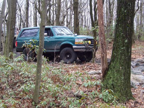 1996 Ford Bronco - A green 1996 Ford Bronco navigates a wooded trail, with another vehicle visible in the background.