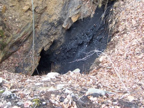 1996 Ford Bronco - A dark mine entrance is visible, surrounded by rocks and fallen leaves on the ground.