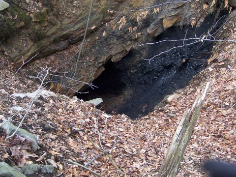 1996 Ford Bronco - A dark mine entrance is visible, surrounded by rocks, fallen leaves, and tree branches.