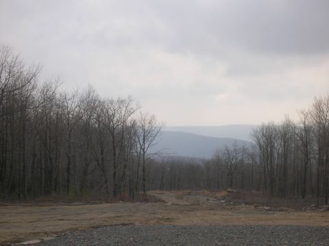 1996 Ford Bronco - A wide shot of a wooded landscape under a cloudy sky. In the foreground, there is a dirt path with gravel on the right.