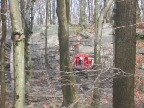 1996 Ford Bronco - A red off-road vehicle with a roll cage is parked on a rocky incline in a wooded area.