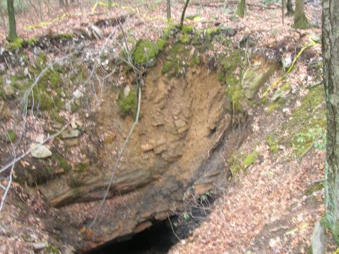 1996 Ford Bronco - A sinkhole has opened up in a wooded area, revealing exposed earth and rock layers. Yellow caution tape is visible strung across the top of…