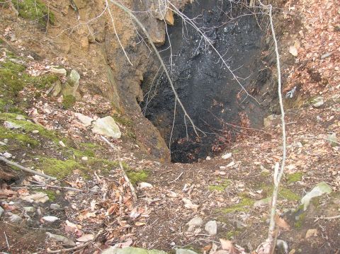 1996 Ford Bronco - A dark, open mine shaft is visible in a wooded area with fallen leaves and mossy rocks.